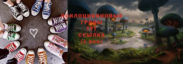 соль курить ск Белокуриха
