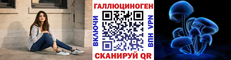 купить наркотик  Югорск  mega маркетплейс  Галлюциногенные грибы Psilocybine cubensis 